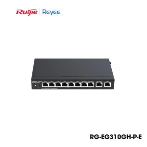 RG-EG310GH-P-E